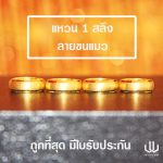 แหวนทอง | 1 สลึง | ขนแมว